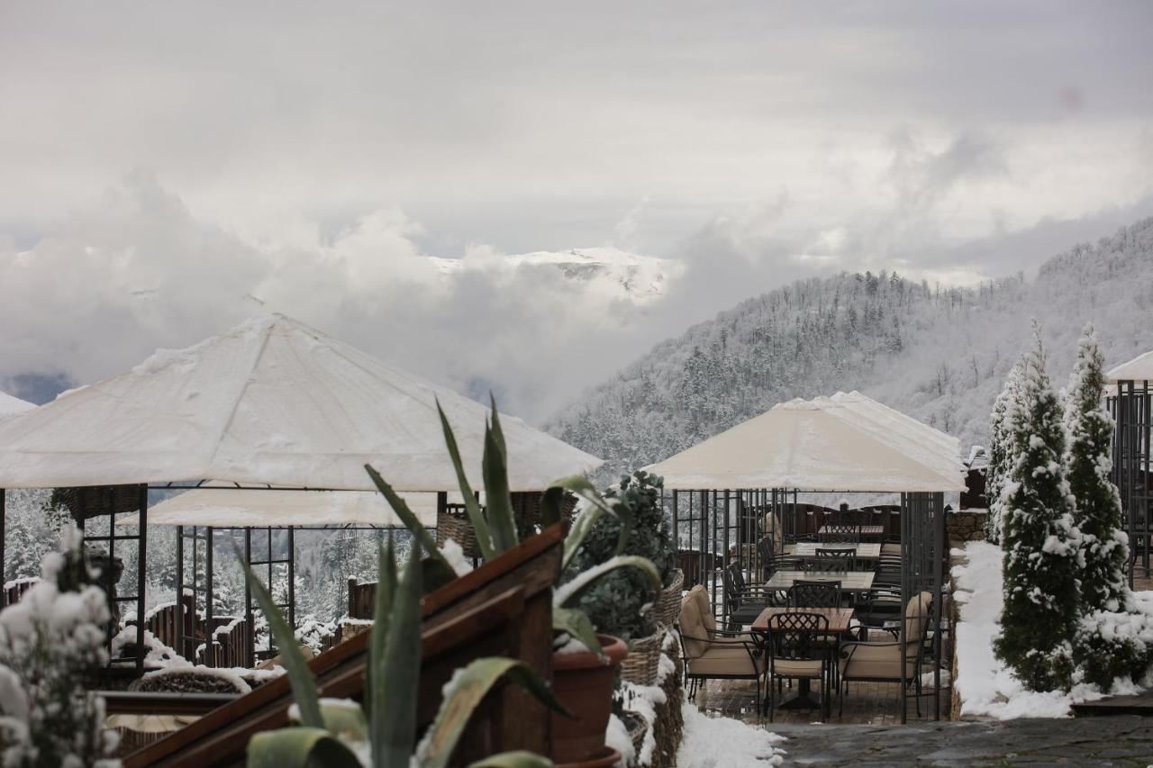 Alpine Castle Hotel Dilijan Eksteriør billede